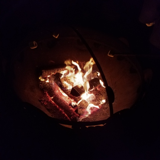 th-marshmallows-roasting-over-a-roaring-bonfire